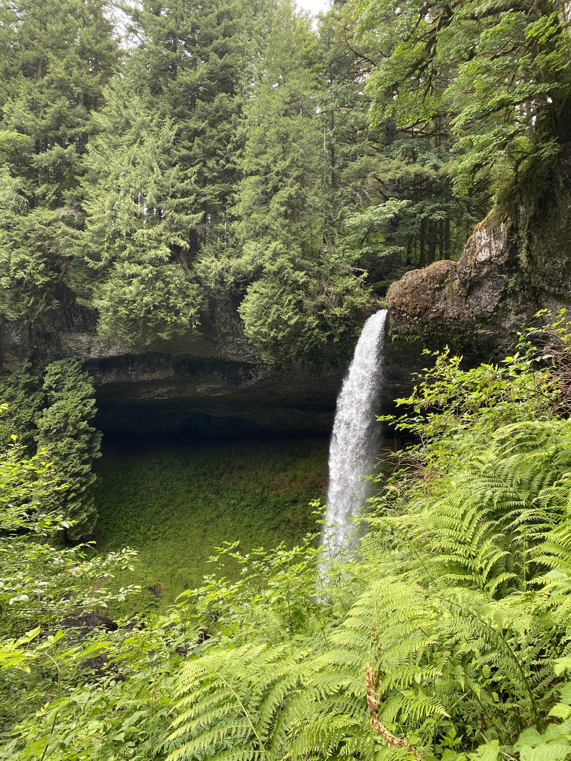 Silver Falls State Park A Number Two Contender Wonder Where Now 5954