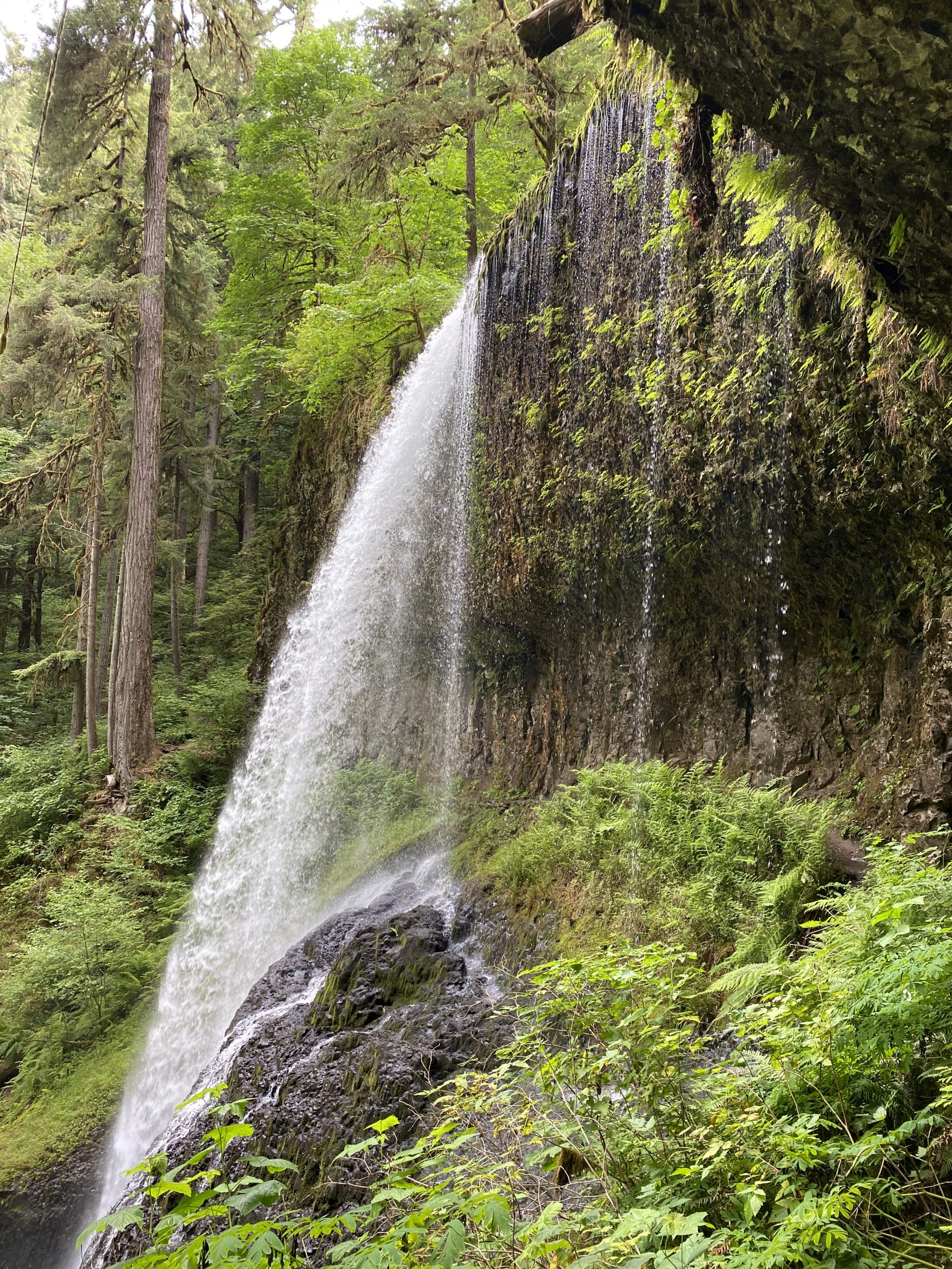 SILVER FALLS STATE PARK – A NUMBER TWO CONTENDER – Wonder Where Now?