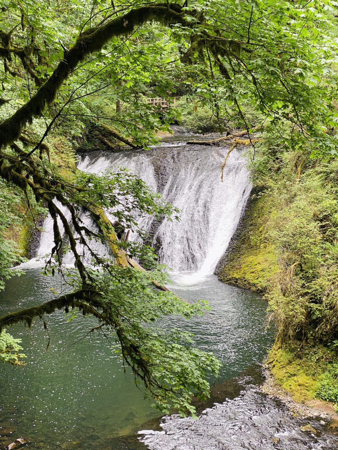 Silver Falls State Park A Number Two Contender Wonder Where Now