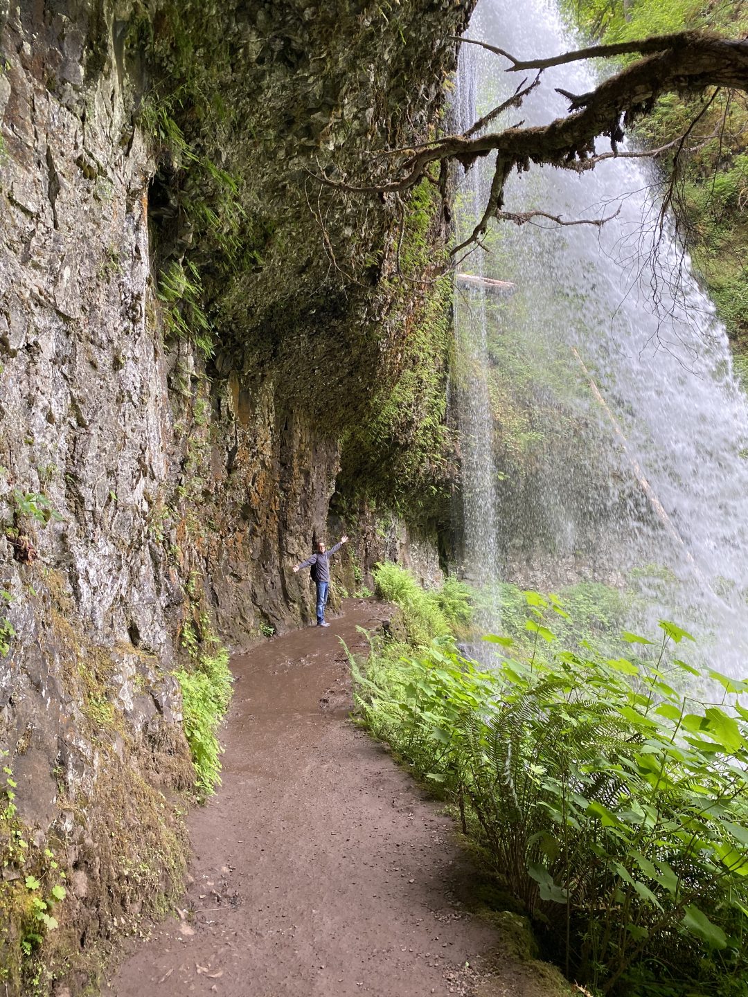 SILVER FALLS STATE PARK A NUMBER TWO CONTENDER Wonder Where Now   D5F84A69 3087 47A7 8873 656322A839B5 1080x1440 