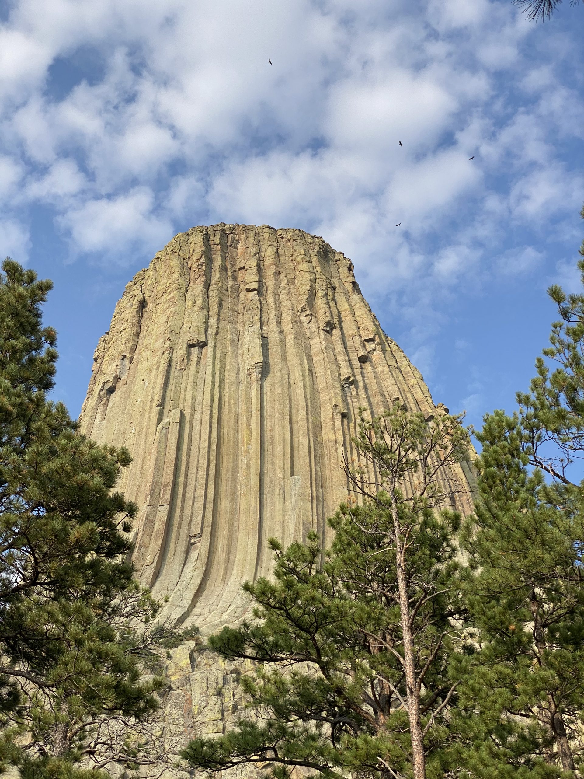 DEVILS TOWER (AKA MASHED POTATO MOUNTAIN) – Wonder Where Now?