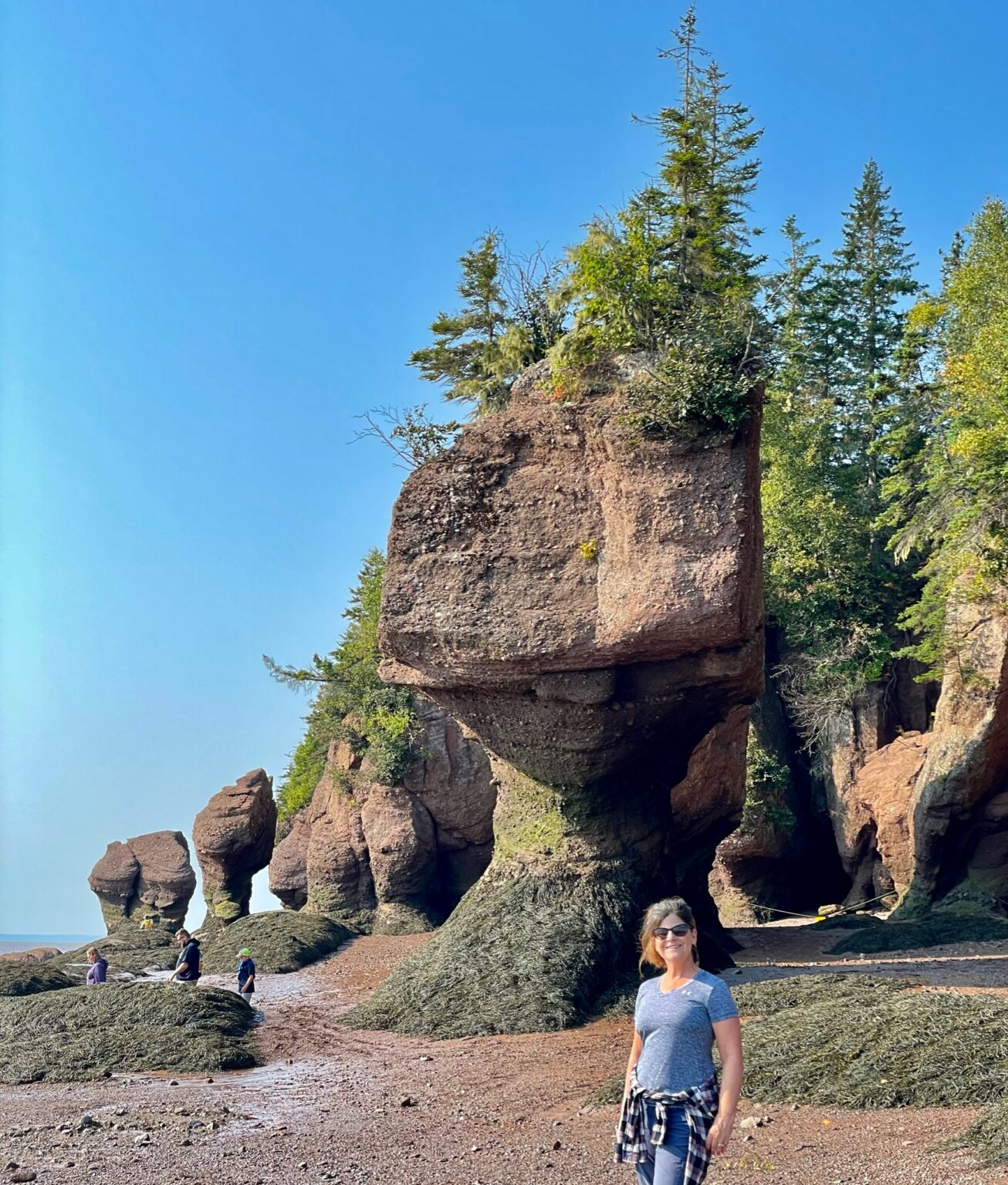 Flower Pot Rock Art at Hopewell Rocks – Wonder Where Now?