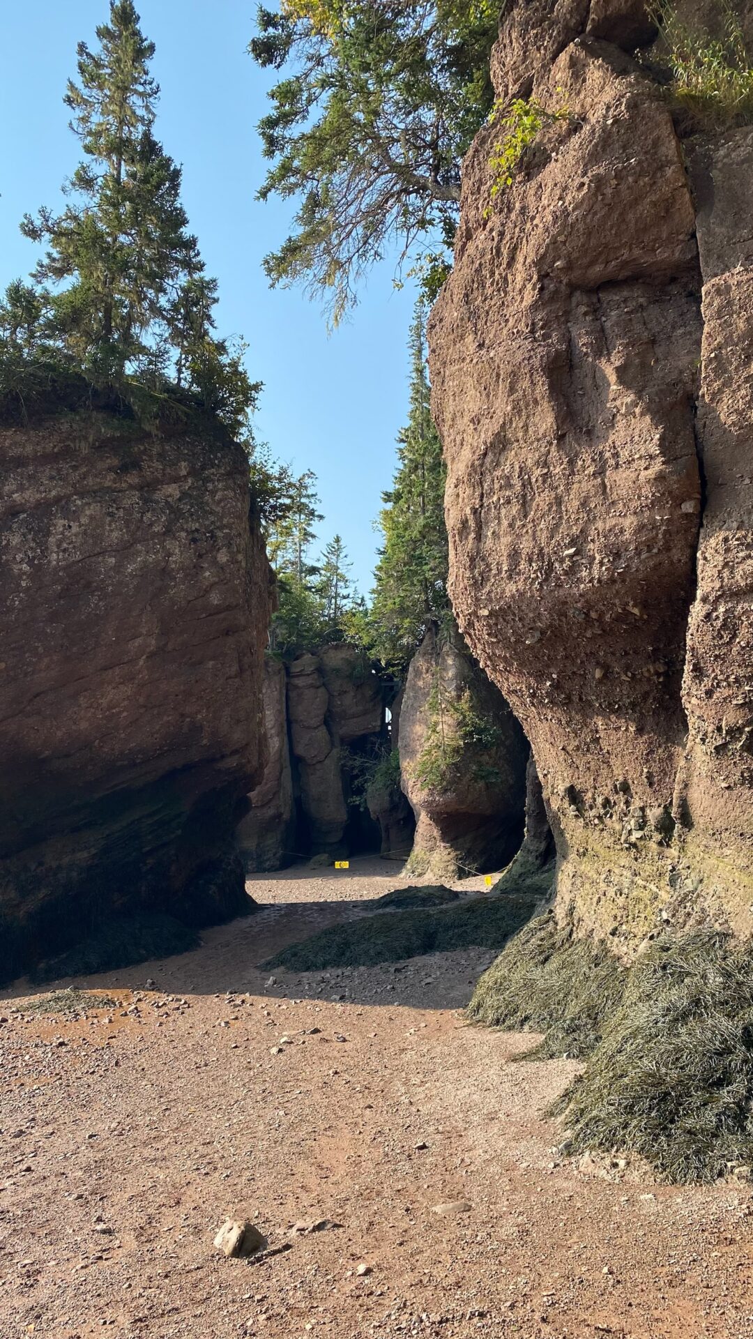 Flower Pot Rock Art at Hopewell Rocks – Wonder Where Now?